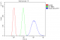 Anti-Beta Tubulin TUBB Antibody Picoband™ (monoclonal, 2E11)